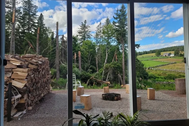 story ali rad hero is in the mirror